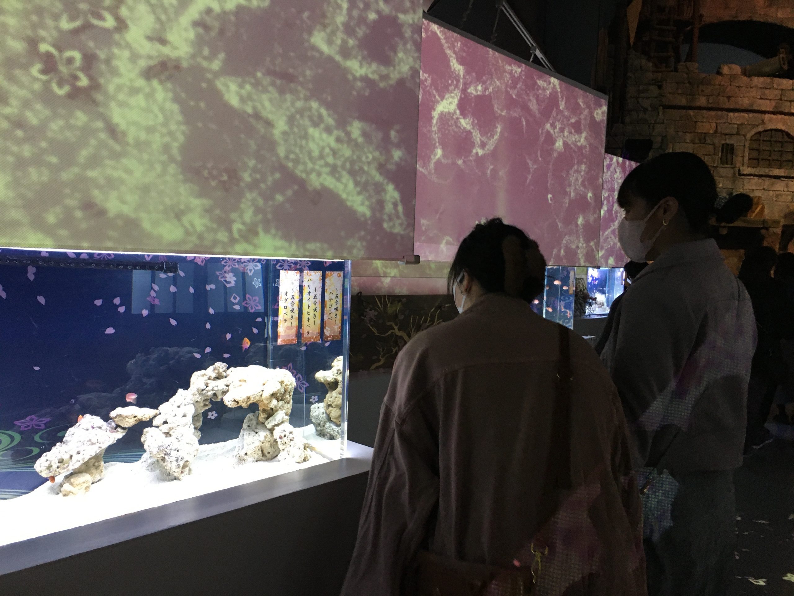 【課外活動】東京天空樹和品川水族館